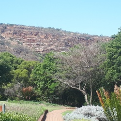 Walter Sizulu Botanical Gardens